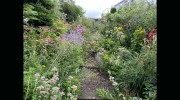 Garden Displays