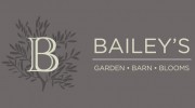 Ken Baileys