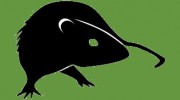 Donkill Pest Solutions