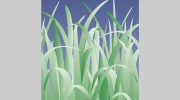 Dixons Landscapes