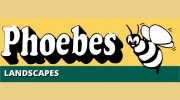 Phoebes Landscape