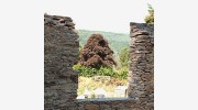 Heritage Stone