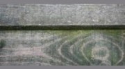 Acorn Fencing