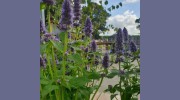 Fairweather's Garden Centre
