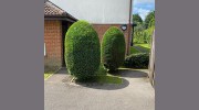 In Touch Property Services