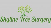 Skyline Tree Surgery