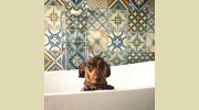 T.T.P Total Tiling Products