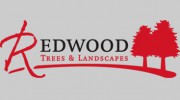 Redwood Landscapes