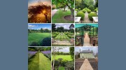 Millers Garden Services