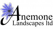 Anemone Landscapes