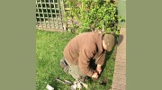 A12 Pest Management