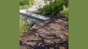 The Landscaping Consultants