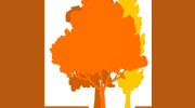 P M H Tree Surgeons