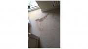 Burnley Carpet Clean