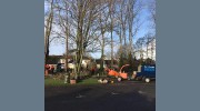 Taw & Torridge Tree Services
