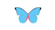 Butterfly Cleaning Service