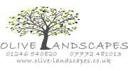 Olive Landscapes