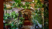 The Nunhead Gardener