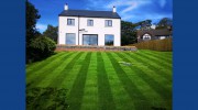 SWL Gardening & Landscaping