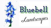 Bluebell Landscapes