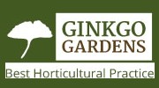 Ginkgo