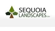 Sequoia Landscapes