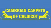 Cambrian Carpets