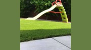 Garden & Handyman Services