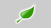 Perennial Garden Services