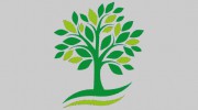 Husband Landscaping & Maintenance
