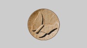 Andrew Conning Butterfly Furniture