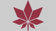 Mapleleaf Cleaners