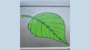 Garden Craft Landscapes