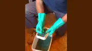 ABBA Pest Control