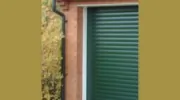 Chris Banks Windows