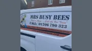 Mrs Busy Bees