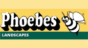 Phoebes Landscape