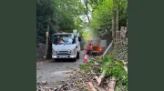 The Tree Doctors