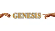 Genesis Kitchens & Bedrooms
