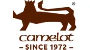 Camelot Real Fires