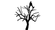 Walton's Tree Services