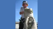 Chartley Tree Services