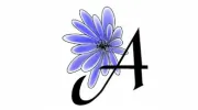 Anemone Landscapes