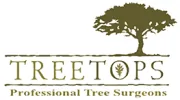 Treetops Tree Surgeons
