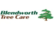 Blendworth Tree Care