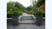 Plantlife Landscapes