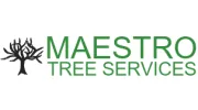 Maestro Tree Services