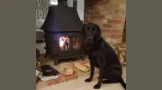 Norfolk Chimney Sweep