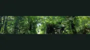 J A Stewart Tree Surgery & Woodland Management