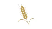Barleycorn Removals